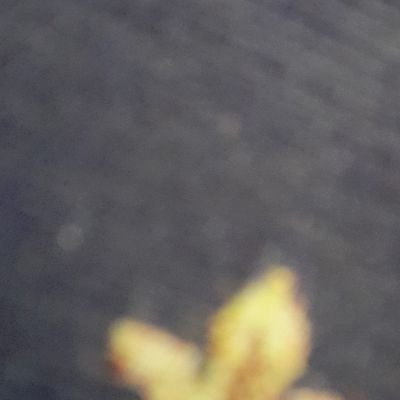 nPz4Obyc3wzZugS's profile picture. 