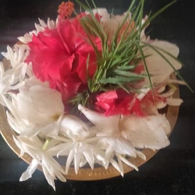 TofikAl68363554's profile picture. 825318