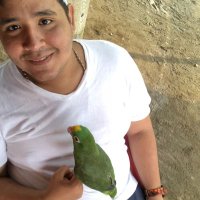 Jose Negrete (@joseneay) 's Twitter Profile