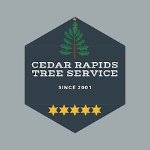 Cedar Rapids Tree Service
360 30th St SE, Cedar Rapids, IA 52403
(319) 229-2427