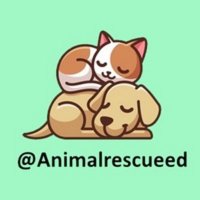 Animal Rescue(@animalrescuerr) 's Twitter Profile Photo