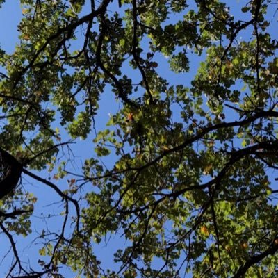 Sam_Kingma35's profile picture. 