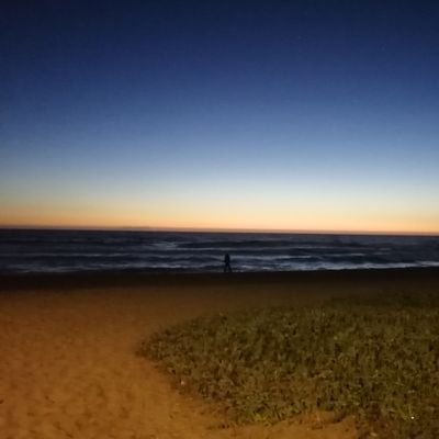 Amante el sur chileno y espero vivir ahí algún día. Periodista, mi sector el agro y los rrnn.