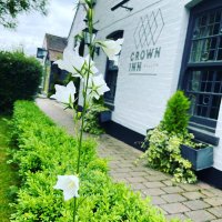 thecrownhallow (@thecrownhallow) 's Twitter Profile