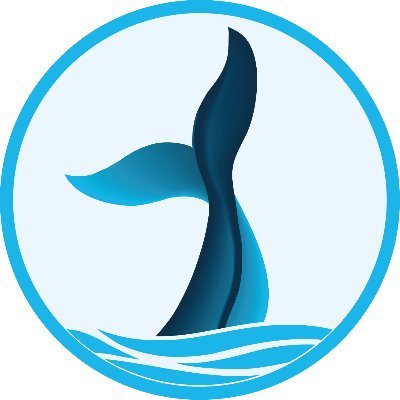 Optimizador de rendimiento de la #BSC. Automatizamos estrategias de inversión mediante interés compuesto. Vaults de reinversión automática & Staking Pool. 🐳🐳