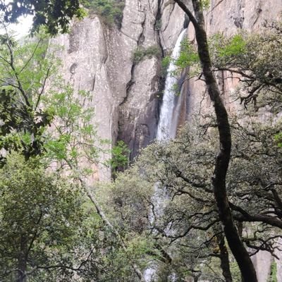 lerouxvince99's profile picture. 