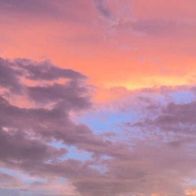 anncarmelle_'s profile picture. 