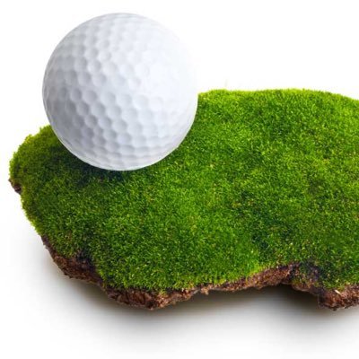 NewLife Turf Profile