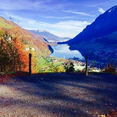 evsmahe's profile picture. 