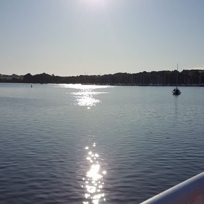 vini2nord's profile picture. courir c'est bien, arrivé c'est mieux