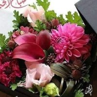 Ab (@ab33116985) 's Twitter Profile Photo Ab (@ab33116985) 's Twitter Profile Photo