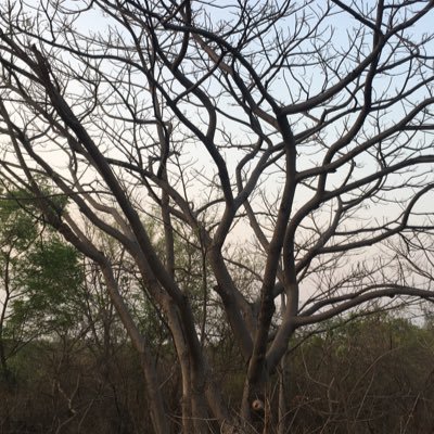 KSReddy69836756's profile picture. All is Well...live with Corona. On option