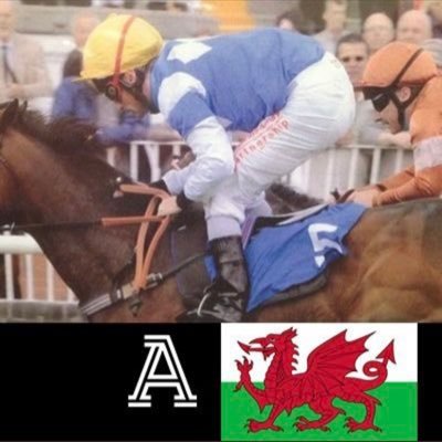 Welsh businessman with interests in Racehorses,Dog lover http://Free Speech.Tweets for politic truths,fun,football,rugby,horse racing.Likes Europe but not EU