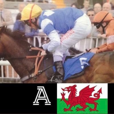 Welsh businessman with interests in Racehorses. Dog https://t.co/d8GswXxkBF Speech. Tweets for politic truths, fun,football,rugby horse racing.Likes Europe but not EU