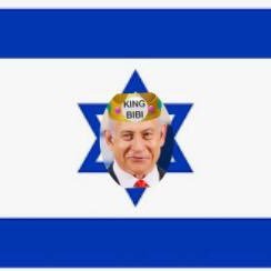 anibibist's profile picture. 