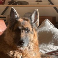 Peter A. Roselle (@phenomenalpoto) 's Twitter Profile Photo Peter A. Roselle (@phenomenalpoto) 's Twitter Profile Photo