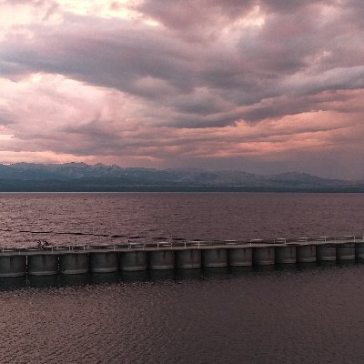 nestorforte1's profile picture. 