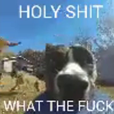 CheekzArts's profile picture. │Starting Blender graphic designer │Mbr8#0692 │