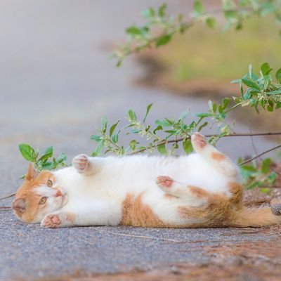 😥😥さんのプロフィール画像