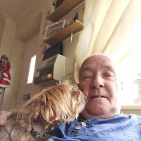 Andy Halman (@ahal56) 's Twitter Profile