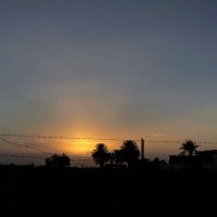 أبو غَـنـد ﮼ ﮼𓅓 📿 ♩ ♩ (@f5r_iii) 's Twitter Profile