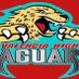 VHS Jaguars Football (@vhsjagfootball) Twitter profile photo VHS Jaguars Football (@vhsjagfootball) Twitter profile photo