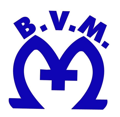 B.V.M. School creates a safe and peaceful atmosphere in which students can develop their potential for growth, independence, and knowledge.