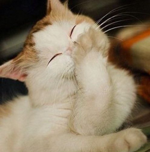 LMY0219's profile picture. 