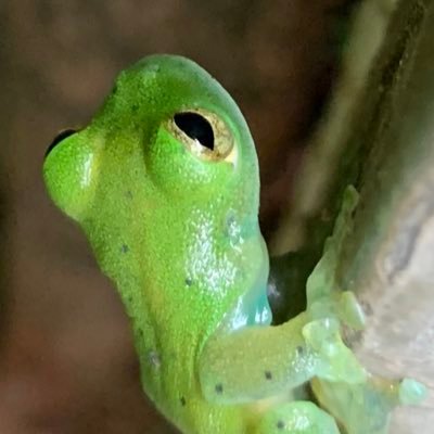 AmandaCHammond1's profile picture. 