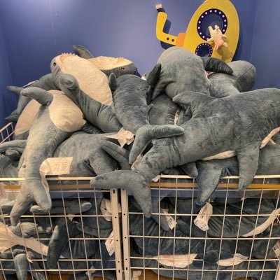 J27194254's profile picture. 