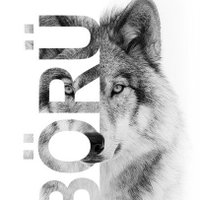 Merthan (@mrttrk09) 's Twitter Profile Photo