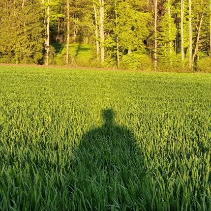 ecr_l_inf's profile picture. 