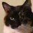 james60796711's profile image