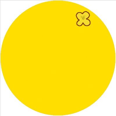 くろぃわ ～にょ🌼🐝さんのプロフィール画像