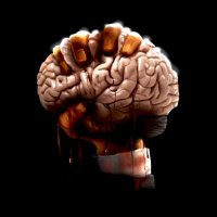 THOUGHTCRIME (@thoughtcrime420) 's Twitter Profile