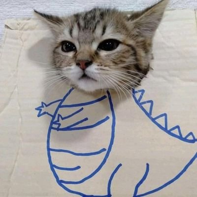Tavid02 Profile Picture