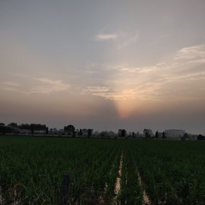 ajay_bhokta's profile picture. 