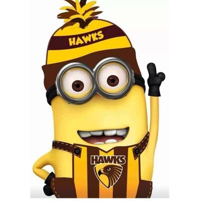 Chronic Hawthorn supporter/member.