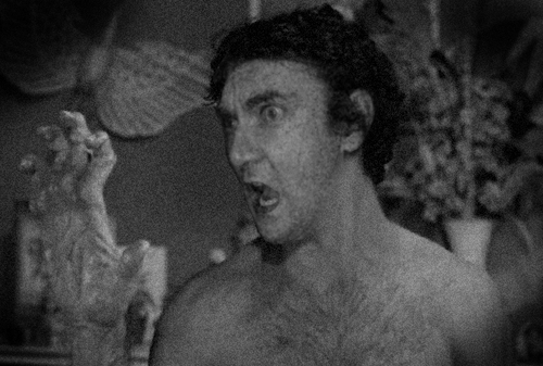 ToddVoltz's profile picture. I make pictures, words and music the world over and live in New Orleans.