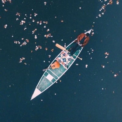 windyzao's profile picture. 等待