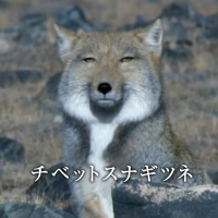 焼き鳥🔥 (@rain____63) 's Twitter Profile