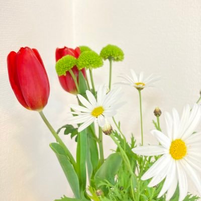 15FdpTdthCLRa29's profile picture. 本 音楽 ドラマ  映画　ラジオFM802  2025年はかろやかに楽しむ