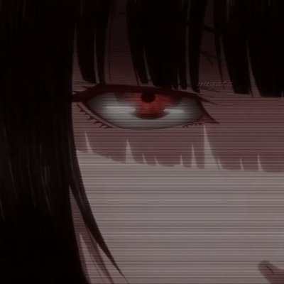 terroryumeko Profile Picture