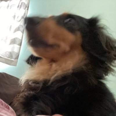 kuu20160718's profile picture. 乗っ取られました