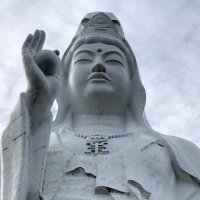 MEILA（被写体募集中） (@idolgeinou55) 's Twitter Profile Photo