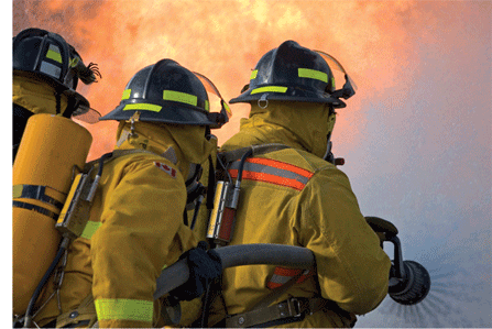 michaelmoore31's profile picture. 