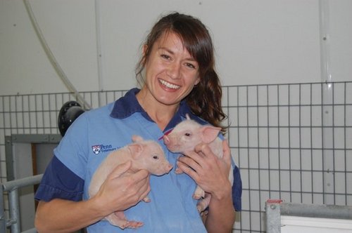 Swine vet at #PennVet. 10 years experience w/ #ESF large pen #gestation. Resident in #AnimalWelfare. Passionate about #sustainable #ag. My views are my own.