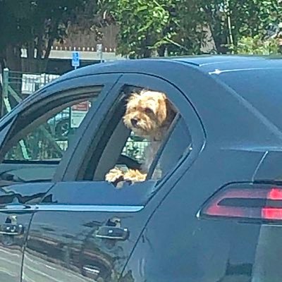 fideliakinj's profile picture. Le bureau des plaintes.