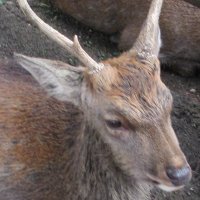 EventHorizon (@eventho34103200) Twitter profile photo