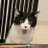 __PEAR's profile image